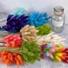 50pcs coelho coelho cauda grama natural flores seca de buquê de casamento decoração de natal lagurus pampas decoração de casa adereços 240409