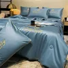 Luxury Luxury lavé Summer Cool Quilt Ice Silk Clidition de climatisation Couperon simple Double mince litière queen Couettes queennes