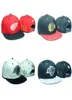 Nuovo Fashion Bone Tisa Lastkings Snapback Caps Designer Men Women All Wool Cappone LK Baseball Cap Hiphop Hat Sport Regolable Online6179301