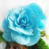 Fleurs décoratives 60cm Grand Rose Head mousse Faux Decoration Home Wedding Fond Party Party Stage Crafts Floral