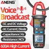 ANENG AT619 Clamp Meter AC Current Voice Broadcast Multimeter Ammeter Voltage Tester Car Amp Hz Capacitance NCV Ohm Tester Tools