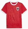 2024 2025 S-4xl Cup Football Jersey Austria Team 24 25 Home Away Fan White Version Soccer Jersey