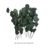 Fiori decorativi che preservano gli steli eucalipti secchi rami artificiali finto vegetazione