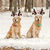 Appareils pour chiens Supplies de Noël