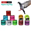 50pcs/Conjunto 2023 anos Nacional Pigeons Foot Ring 8x11mm Pigeons Ring Ring Papagaios de pernas Rings Treinamento de pássaros Ferramenta de treinamento com nnumbers
