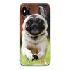 Pug Puppy Dog Back Cover pour Ulefone Note 16 Pro 14 10 12 16P 6T 6 6P 14P 13P 12P 11P 10P 9P 8P 7P POWER 6 7 COQUE DE CASE DE TÉLÉPHONE