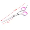 Ciseaux de toilettage professionnels pour chiens chats Conseils de sécurité Rounds Curved Blade Scissor Sharp Hairdressing Pet Cough Scissors