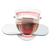 Dental Double face photo bouche miroirs