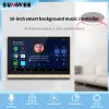 Радио -дом интеллигентный звук 10 -дюймовый сенсорный экран Wi -Fi Bluetooth -монтированный усилитель, Stereo Home Theatrej