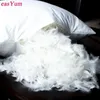 Easyum 30*50/40*40/45*45/50*50cm 100% Cotton Goose Down Feather Chair Sofa Back Cushion Pad Bed Pillow 240401