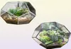 NCYP Modern Glass Terrarium Flower Pot Gold Geometric Terrarium Bonsai Pots Pots Plant Planter Descile Display Flowerpot Y2007231299997