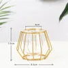 Vases Terrarium Retro Iron Line Vase Hydroponic Plant Flower Home Decor Metal Holder Nordic Styles