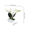 Decorative Flowers 2 Pcs Fake Plants Simulation Phalaenopsis Small Bonsai Artificial Adornments White Flower Potted