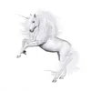 Three Ratels QCF50 Unicorn Nordic Watercolor Fairy Tale Style Art Wall Decal Indoor Scratch Blocking Waterproof Self adhesive