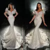 Fashion Tulle Mermaid Wedding Dresses Pearls Feather Beading Appliques Bridal Gowns Lace Custom Made V Neck Long Sleeves Sweep Train