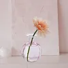 Vases Glass Bud Vase Bottle Decorative Creative Mini For Living Room Table