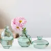 Vasi 3pcs/Impostare Clear Clear Hydroponic Flower Disposition Ornament Vase Vase Vaso Minalist Mini Creative Creative