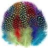 20pcs斑点のあるパールキジの羽毛プルーム針のためのdiyヘアアクセサリー