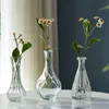 Vertiplan Table Vase Flowers Kitchen Glasses Plants Vase Bathrouns Outdoor Vasos Decorativos Para Sala Home Decoratingアイテム