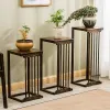 Solid Wood Indoor Plant Stand Living Room Ground Landing Shelf For Flowers Sofa Side Living Decor