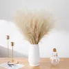 Fleurs décoratives 5pcs Artificiel Pampas Grass Bouquet Diy Fake Plants Living Room Decoration Party Party Vase Supplies