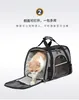 Кошачьи перевозчики и собака выходят из портативного стерилизации Messenger Pet Cary Rucksack