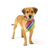 Roupas de vestuário para cães Triângulo de animais de estimação Towel-filho-filho roupas meninos fantasias de poliéster aniversário gato triangular bandana