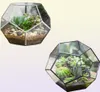 NCYP Modern Glass Terrarium Flower Pot Gold Geometric Terrarium Bonsai Flower Pots Plant Planter skrivbord Display Flowerpot Y2007234097462