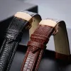 Crocodile Modèle Vérite de montre en cuir 18 mm 20 mm 22 mm 24 mm papillon boucle bracele