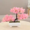 Potes de plantas plásticas artificiais Bonsai Pequena panela de árvore falsa planta em vasos de flores em casa decoração de decoração de jardim ornamentos