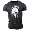 Vintage Men's T Shirt Spartan Print 3D T-Shirts Summer Short Sleeve Tops Personality Streetwear Oversized Tee Shirt Men Clothes