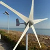 Ветряная турбина 8000 Вт 12 В 24 В 48 В генератор с низким уровнем начала Скорость ветроэнергетики Скорость Бесплатная Альтернативная энергия 3BLADES с гибридным контроллером MPPT