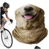 Cycling caps maskeert hoofd en gezicht erings voor mannen vrouw grappige 3D dieren ering sjaal accessoire dieren er headdear drop levering sporten o otleb