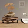 Figürinler için Doğal Masif Ahşap Taban Taş Taş Bonsai El Sanatları Ahşap Kaide Ekran Stand Çay Çay Pet Plakası Vazo 240411