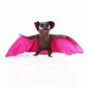 Wholesale of plush bat toys cute stuffed animals filled with flying bats