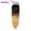 Spitzenverschluss menschliches Haar Ombre 1B/27 1B/30 1B/Burgundy 1b/99J Straight 4x4 Spitzenverschluss nur brasilianische Haare Farbige Verschlüsse