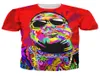 Bütün Kadın Erkekler 3D Biggie Shades Tshirt Notorious Bigbiggie Smalls Tişörtünün Etkili Rapçileri Tişört Üstü Yaz Stili T6922682