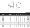 Mässing Cap Hex Nuts Dekorativa kupolhuvudskydd Halvirkornsmutter DIN1587 M3 M4 M5 M6 M8 M10 -M20