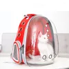 Portadores de gatos Pet Dogs Bolsas portadoras transpirable Durable Transparente Gran espacio para Gatten Kitten Dog Travel Outdoor Moqupacks Cats