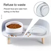 Food Feeders Cats Dogs Double Bowl Adjustable Height Protecting Cervical Spine Anti Overturning Pet Elevated Drinker Water Dish