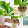 Vaser Hydroponic Flower Pot Home Vase Decor Transparent Glass Sidfria växtkrukor Grön behållare för Office -bordsdekoration