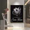 Najlepsze rasy psów irlandzki wilk husky walish corgi vizsla plakaty płócienne malarstwo