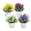 Flores decorativas Plantas pequenas em vasos