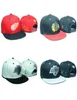 Nuovo Fashion Bone Tisa Lastkings Snapback Caps Designer Men Women All Wool Cappone LK Baseball Cap Hiphop Hat Sport Regolable Online5767121