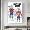 Anime Muscle Anatomy Chart Quotes Canvas Affiche Imprimer des photos de couleur Gym Gym Boy Room Wall Decor Peinture