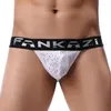 Sous-pants pour hommes Sexy Mesh Bikini Brief