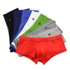 Underpants 8pcs Herren Unterwäsche Boxer Männer Modale Shorts Solid Cuecas Boxershorts Low Taille Boxer Trunks Hosen Hosen