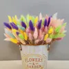 Herbe de gemme séchée naturelle 100pcs bijoux herbe phalaris préservé bouquet de fleur salon hoom boho décor photographie accessoires
