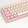 Accessoires 173 KEYS GMK CIRCUS ABS KeyCaps Dubbele schot Cherry KeyCaps Minimalistische roze KeyCap voor MX Switch Gaming Mechanical Toetsenbord