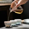 Mokken buitenshuis draagbare reis tepot set met 3 mini -bekers 1 Gaiwan porcelana Japanse theeceremonie huishoudelijke wijn